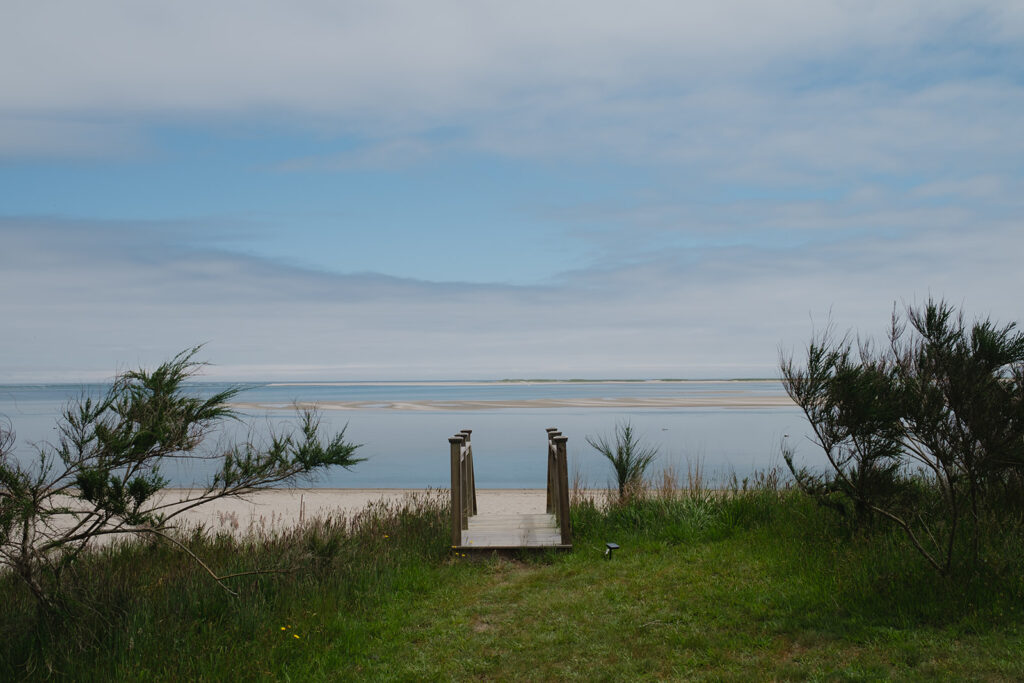 A Summer Wedding In Cape Cod